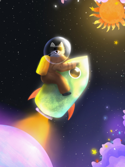 Raccoon en orbite